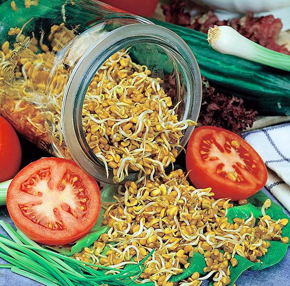 Sheel Organic Fenugreek Seeds, USDA Certified, Kosher, Whole, 12 oz / 340g