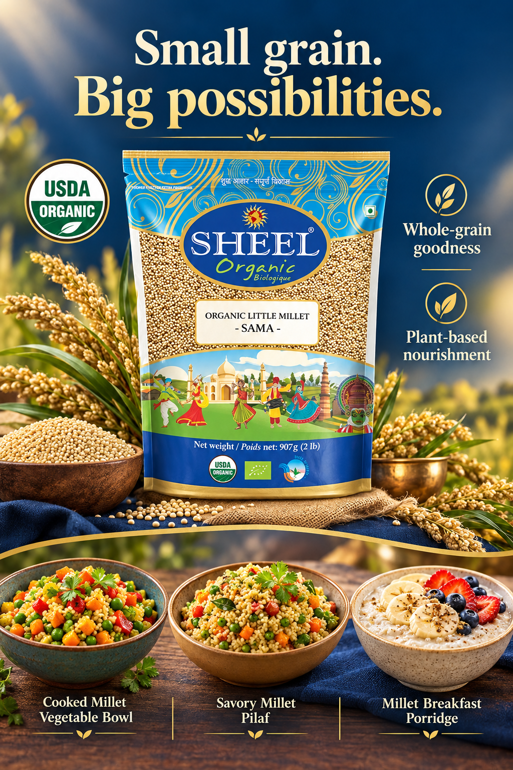 SHEEL millet banner with dishes