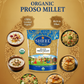 Sheel Organic Proso Millet Portrait Banner